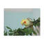 No Frame Print on Canvas-892612433