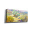  «Desert Garden» par Allayn Stevens, art mural sur toile, 40 po x 20 po-1142400379