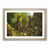 Oak Framed