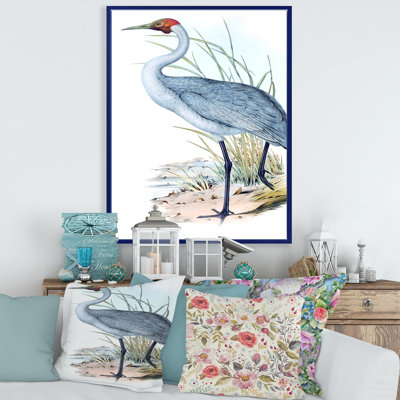 «Vintage Australian Birds V», impression sur toile