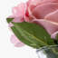 Jets rose et hortensia-381140283