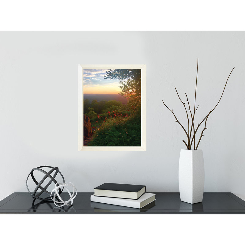 Éveil printanier - photographie, H 18,5 po x l 14,5 po x P 1,25 po, Papier encadré blanc, Pas de tapis