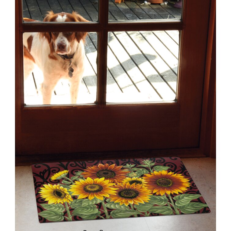Non-Slip Outdoor Doormat