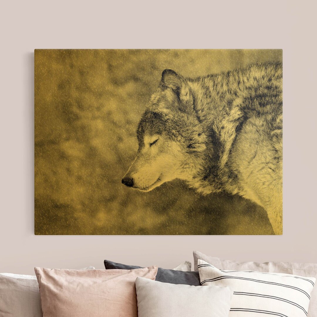 Leinwandbild Goldener Winterwolf