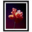 Taffeta Twilight II Framed Graphic Art-1449487813-1506291360