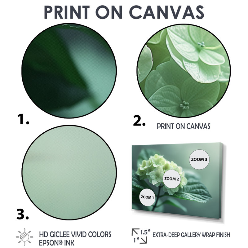 «Tropical», hortensia monochrome vert photo II - hortensia, art mural, Toile tendue, H 16 po x l 32 po