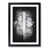 Black Framed selected