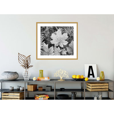 In Glacier National Park by Ansel Adams -Framed Giclee Print