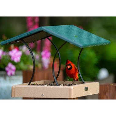 Accessoires pour mangeoires à oiseaux - Wayfair Canada