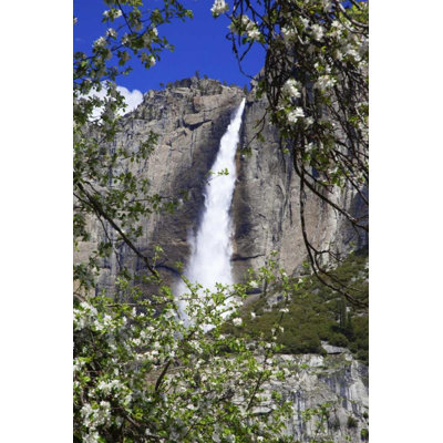 Art sur toile tendue, Flaherty, Dennis Gallery: CA, pommier Yosemite et chutes Upper Yosemite