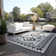 Gemini Ornamental Area Rug