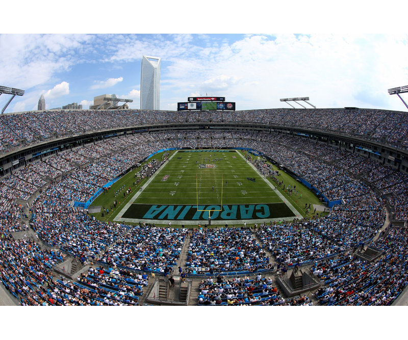 Bank of America Stadium, H 16 po x l 24 po