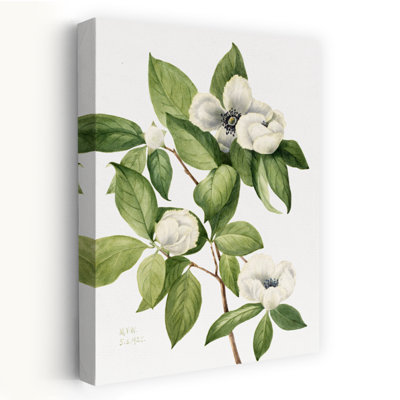 Contemporary Art Colourful Retro Rustic Flower Plant Art