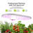 NANAN Hydroponic Unit