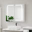 65mm W 60mm H Frameless Medicine Cabinet Mirror Fixed