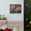 «Armadillo Couple», impression d'art mural-574441949