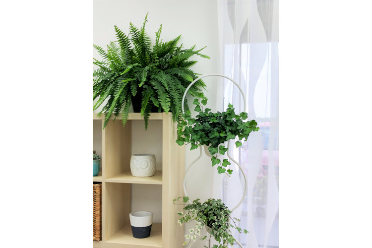 Macrame Plant Pot Hanger – The Piece Hall Learning Zone