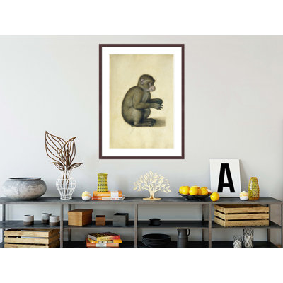 «A Monkey» par Albrecht Dürer, impression giclée sur cadre