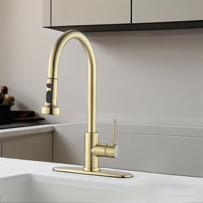 Pull Down Kitchen Faucet With Sprayer 