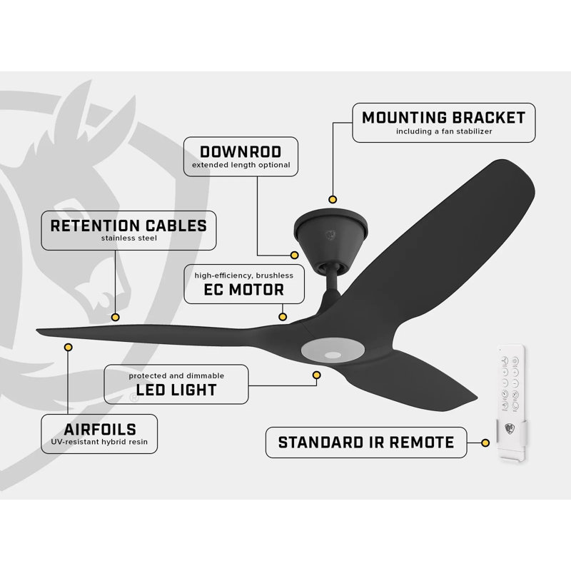 Ventilateur de plafond d'extérieur à DEL 52 po Haiku Coastal Smart, 60", Noir avec pales noires