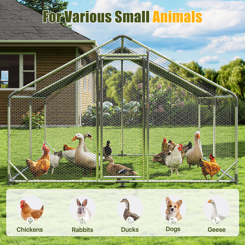 Chicken Coop For Up To 48 Chickens, 194.1cm H x 400.1cm W x 300.2cm D