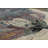 Trosper Floral Indoor Rug-793184039