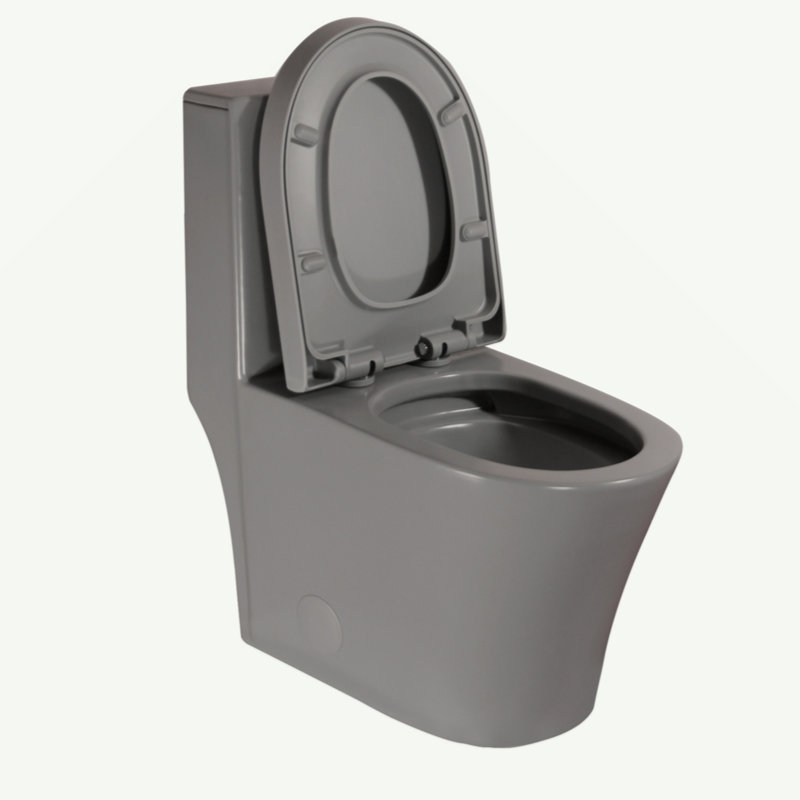 Elongated One Piece Toilet Dual Flush 1.1/1.6 GPF Water Saving Comfort Seat Height, Map 1000G, Grey