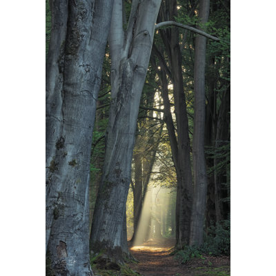 «Tunnel of Light on Canvas» par Martin Podt, reproduction
