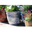 Kingsfield Pot Planter-38455291