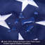 Drapeau américain Lynita-283189102