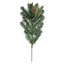 Fir Spray