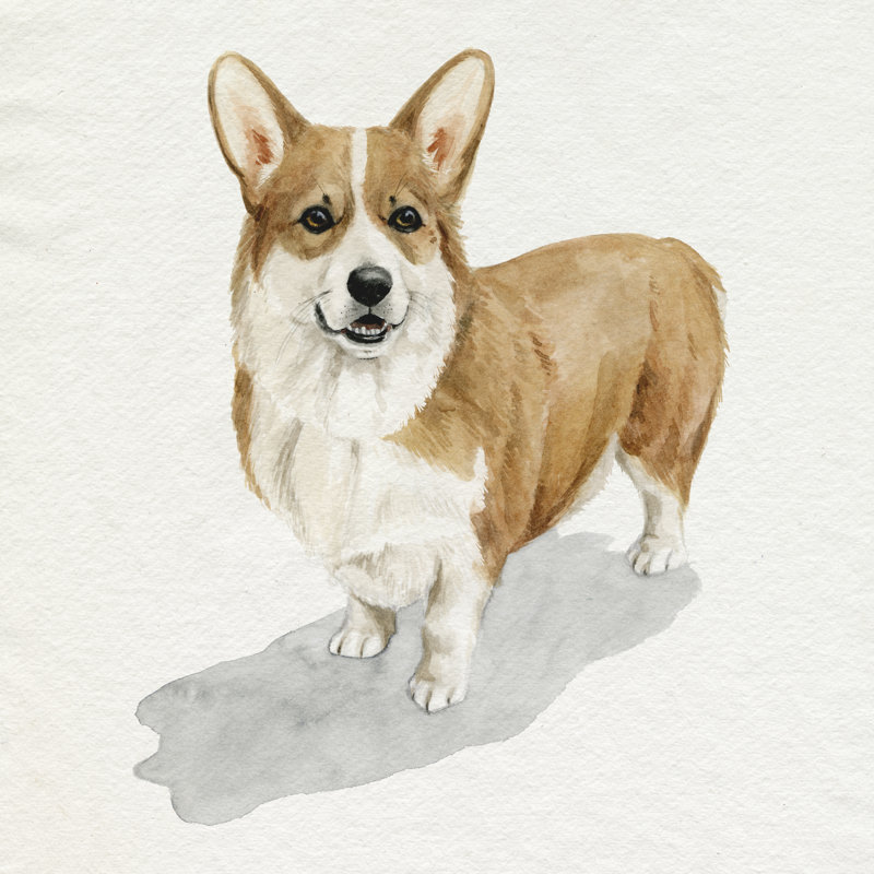 Pup For The Queen II by Grace Popp - Wrapped Canvas Painting, 51cm H x 51cm W