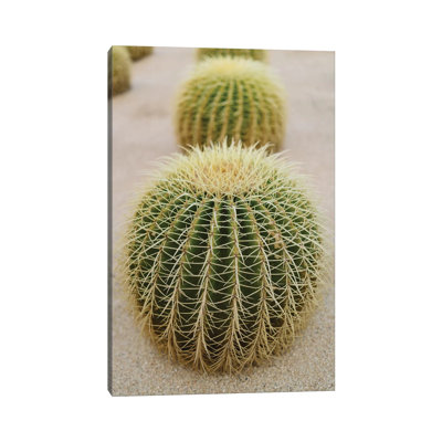 Cabo Cactus IV 1 Piece Wall Art on Canvas