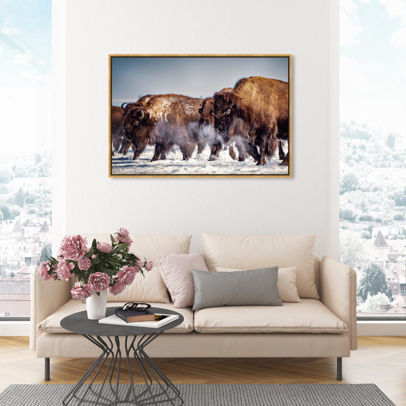 Buffalo Herd In A Snow Landscape Print, Gold Framed, 30" H x 45" W