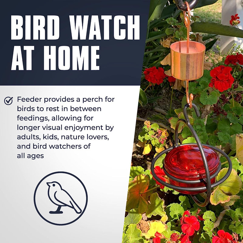 Circular Red Glass and Black Metal Hanging Hummingbird Feeder
