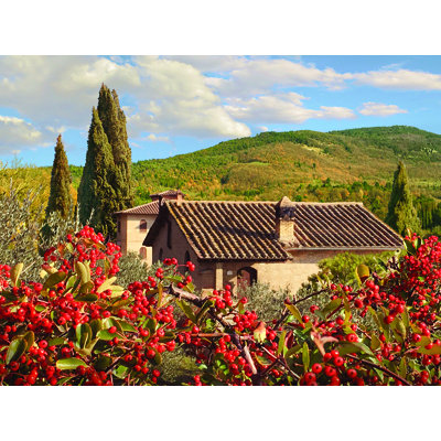 Campagne colorée par Alan Giana - reproduction de photo