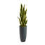 42 po Plantes artificielles en pot