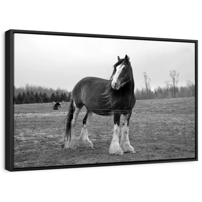 Impression sur toile monochrome Clydesdale, H 19 po x l 13 po