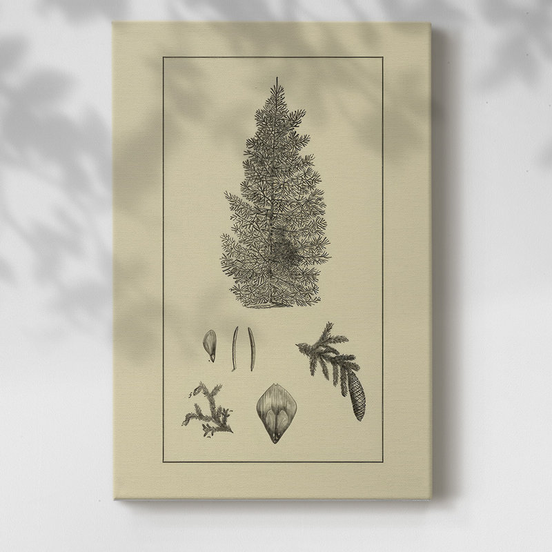 Arbor Study I, H 18 po x l 12 po x P 1,5 po