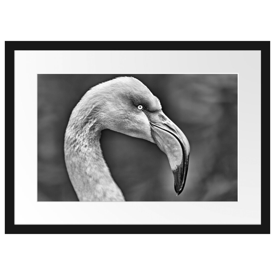 Gerahmtes Poster Flamingo im Seitenprofil