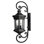 Raley 4-Light Outdoor Wall Lantern
