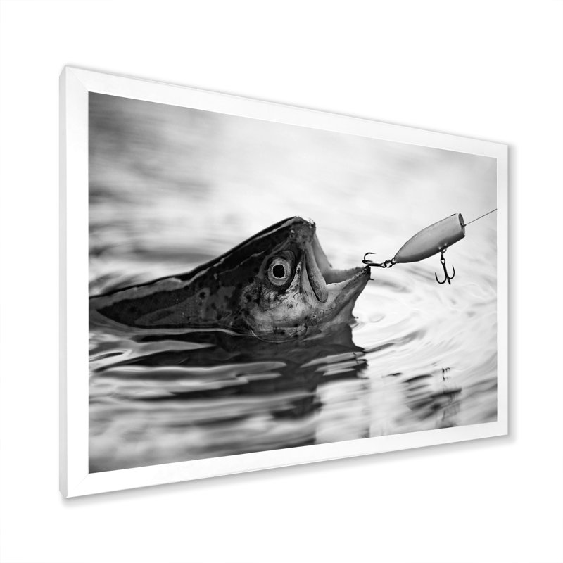 Catching Bass Fish - Fishing Framed Canvas Print Hunting Wall Art, White Single Picture Framed, 16" H x 32" W x 1" D