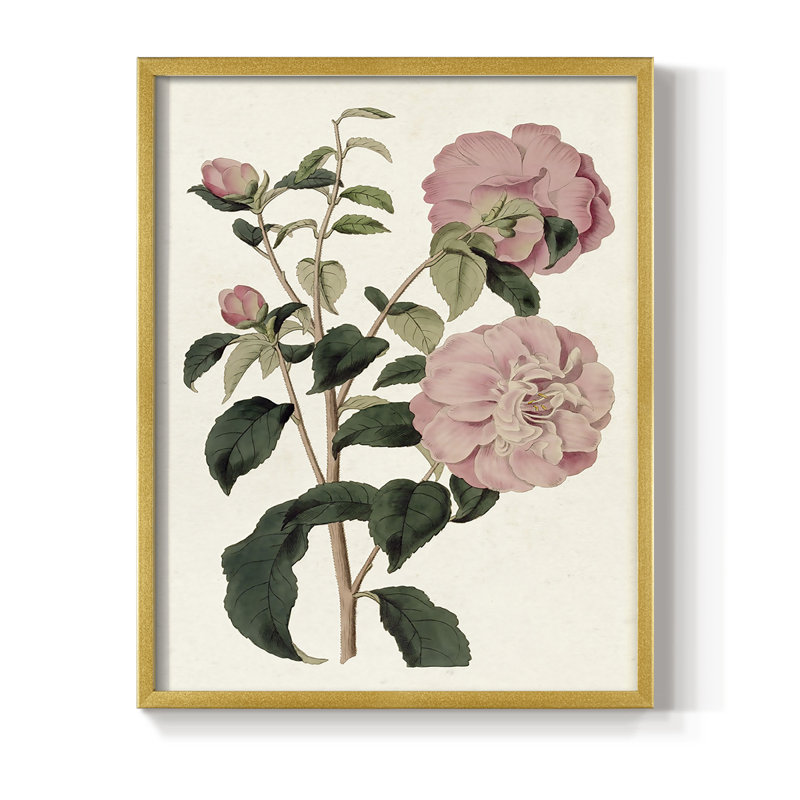 «Pink Floral Mix IV», reproduction encadrée - bois massif, H 11 po x l 9 po, Doré
