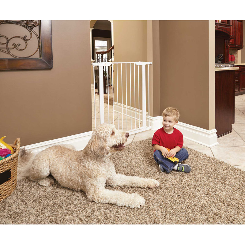 Barrière en acier pour animaux MidWest Homes for Pet, Blanc, H 40 po x l 30 po x P 1 po