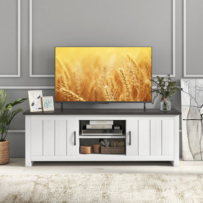 Einari 65'' W Storage Credenza