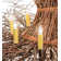 Rustic Lodge 8 - Light Chandelier