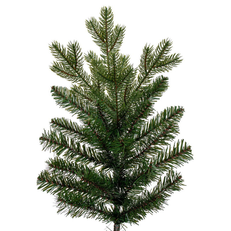 Washington Washington Fir 4499T, 10'