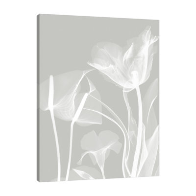 " Gray Flora 1 " by Albert Koetsier