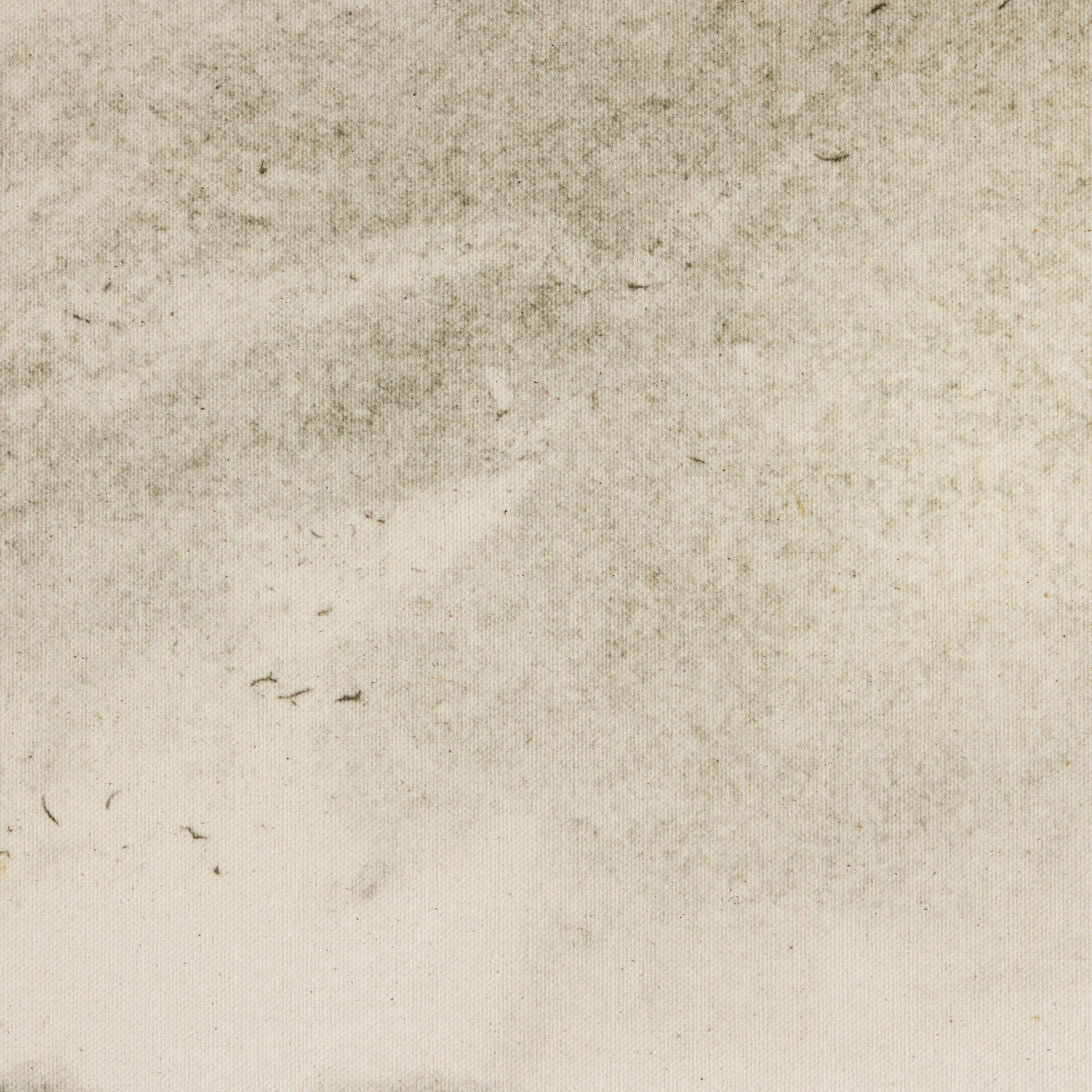 Meadow by Dan Hobday, 18'' H x 24'' W