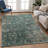 Machine Washable Indoor/Outdoor Jadiel ACN2359 Traditional Rug-1945405060
